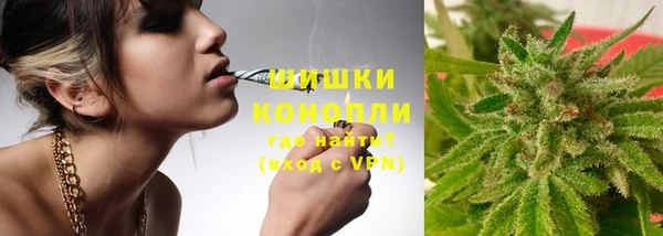 дурь Покачи