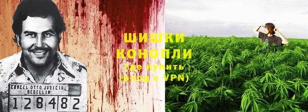 ешки Алзамай