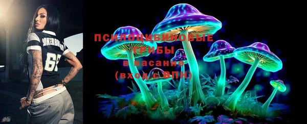 ешки Алзамай