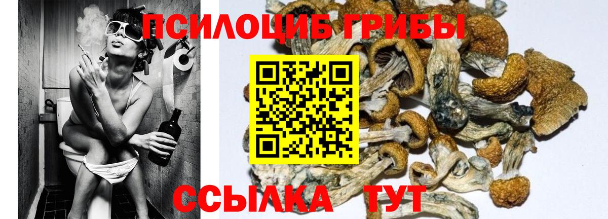 Петровск  Галлюциногенные грибы MAGIC MUSHROOMS  Вход с VPN 